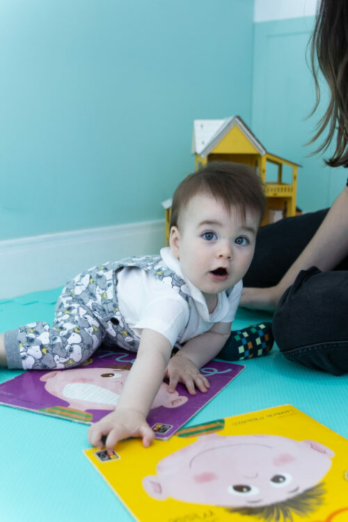 manejo-comportamental